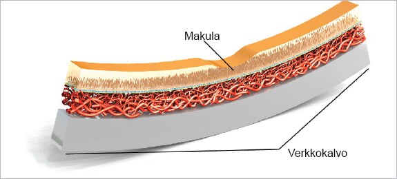 Tarkkaa näköä vaativia tilanteita
